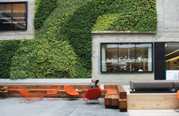 Image of the Airbnb campus